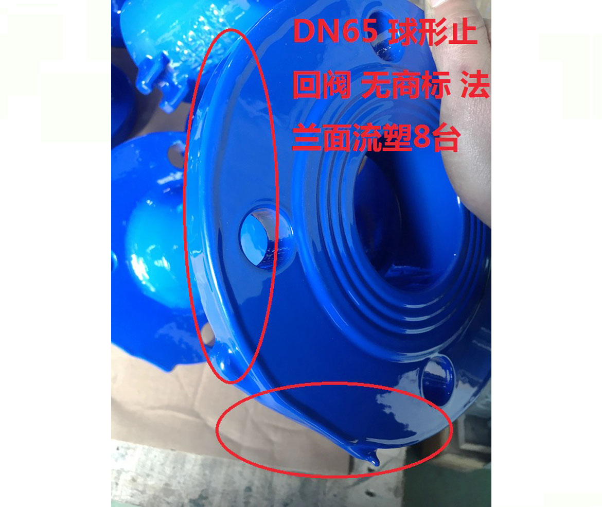 DN65  球形止回阀  无商标  法兰面流塑8台