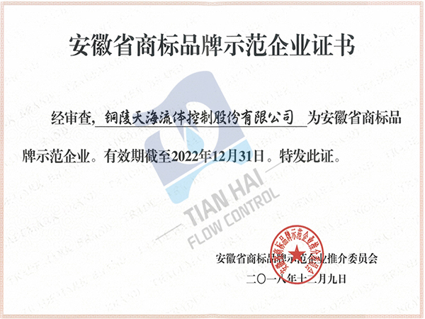 安徽省商标示范企业