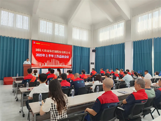 铜陵天海流体2025年上半年工作总结会议顺利召开