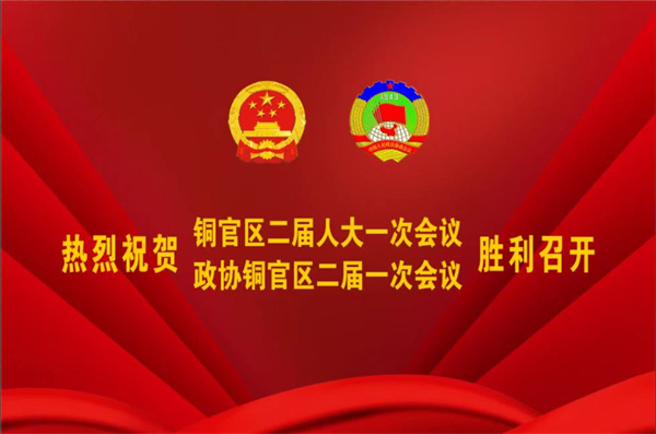 热烈祝贺公司董事、副总经理王从伟被选为 第二届铜陵市铜官区政协常务委员